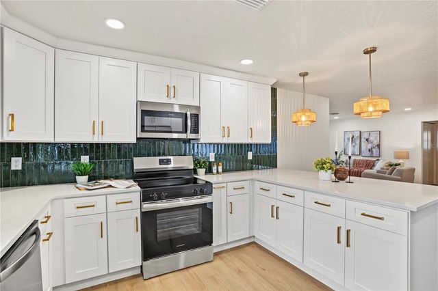 1255 E LAZY LAKE ROAD, Dunedin, FL 34698