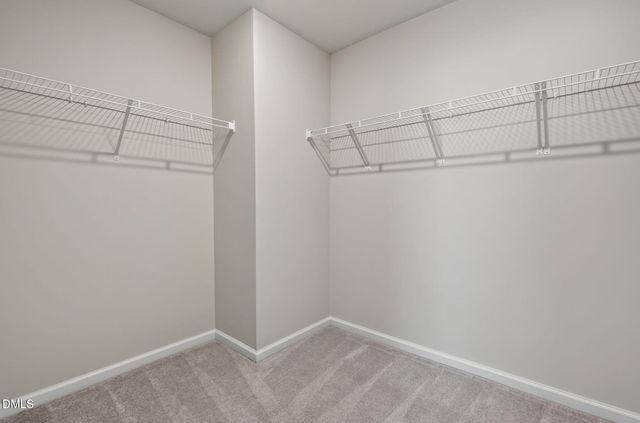 4943 Microcline Trail, Raleigh, NC 27610