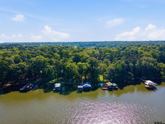 190 CR 2452, Leesburg, TX 75451