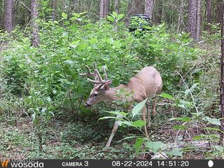 4058 Muddy Springs Road, Magnolia, MS 39652