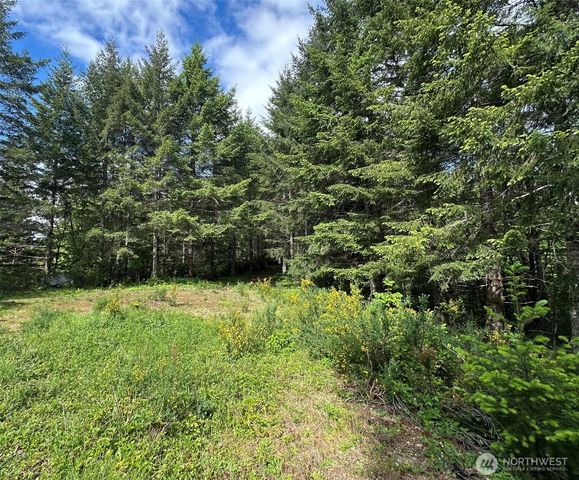 150 N Sunnyside Road, Shelton, WA 98584