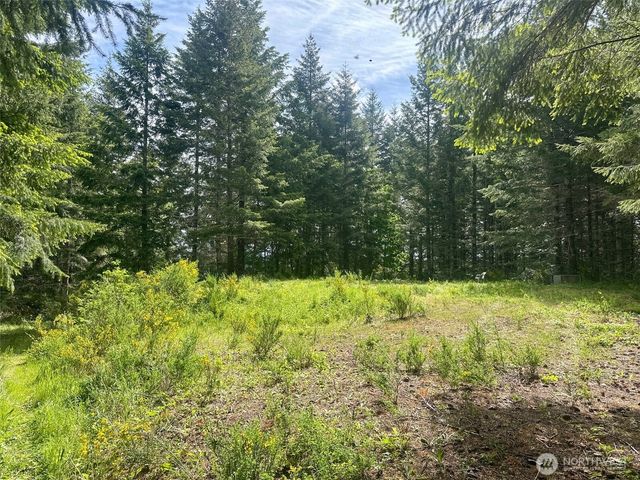150 N Sunnyside Road, Shelton, WA 98584