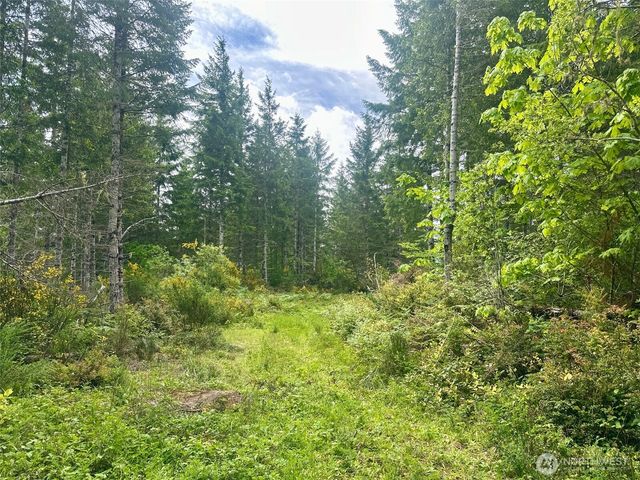 150 N Sunnyside Road, Shelton, WA 98584