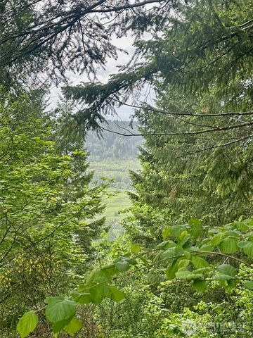 150 N Sunnyside Road, Shelton, WA 98584
