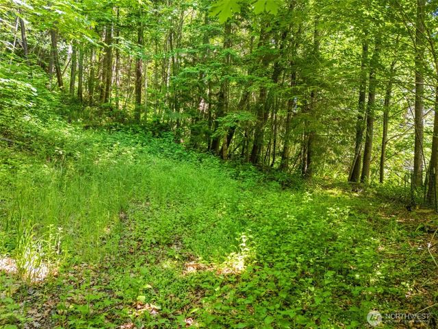150 N Sunnyside Road, Shelton, WA 98584