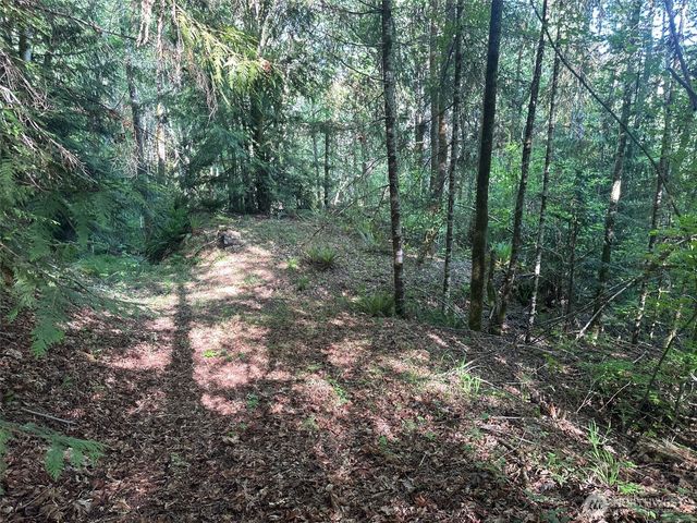 150 N Sunnyside Road, Shelton, WA 98584