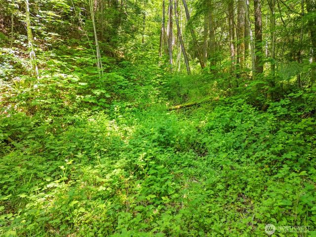 150 N Sunnyside Road, Shelton, WA 98584