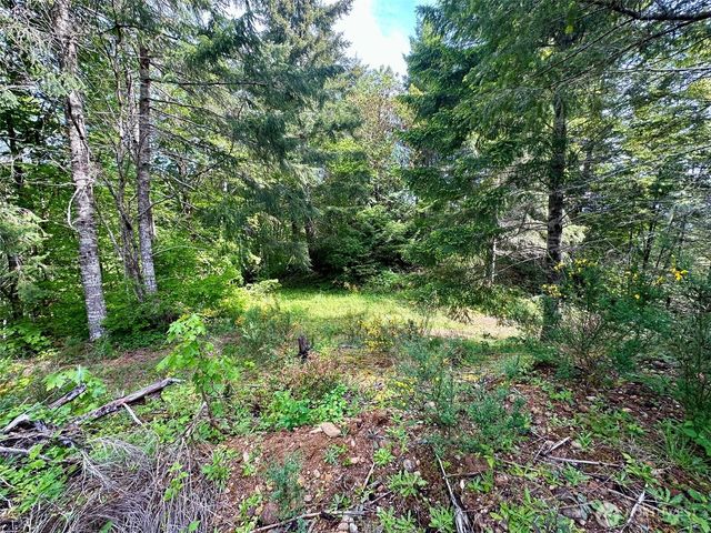 150 N Sunnyside Road, Shelton, WA 98584
