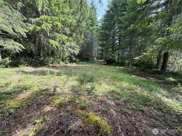 150 N Sunnyside Road, Shelton, WA 98584