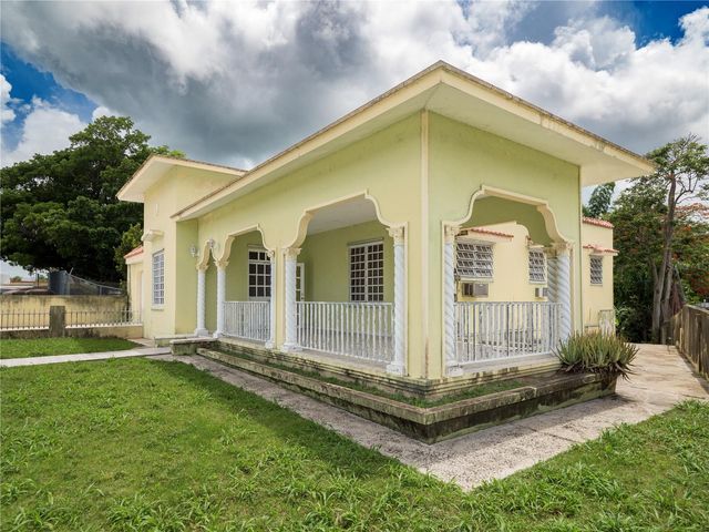 155 CALLE TOUS, BO PUEBLO, San Lorenzo, PR 00754