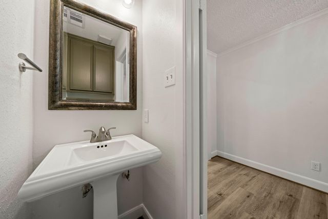 12303 Christy Mill Court, Houston, TX 77070