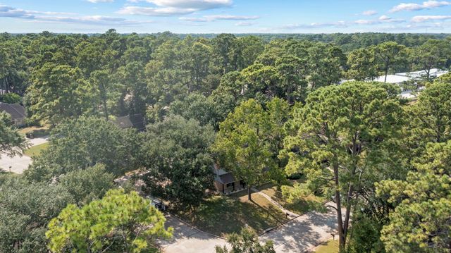 12303 Christy Mill Court, Houston, TX 77070