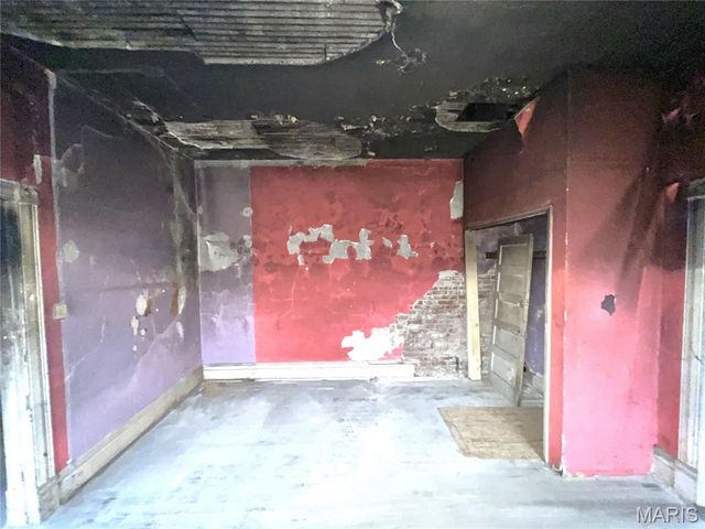 2205 Osage Street, St Louis, MO 63118