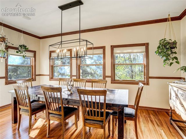 4660 Hagerman Avenue, Cascade, CO 80809