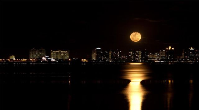 1111 N GULFSTREAM AVENUE 10E, Sarasota, FL 34236