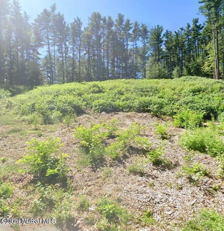 5 Woodview Court, Clifton Park, NY 12019