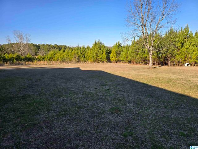 1368 COUNTY ROAD 11, Goodwater, AL 35072