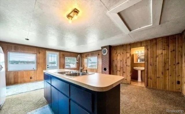 5960 Birchwood Drive, Hale, MI 48739