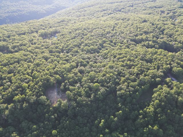 0 Laurel Lake, Monteagle, TN 37356