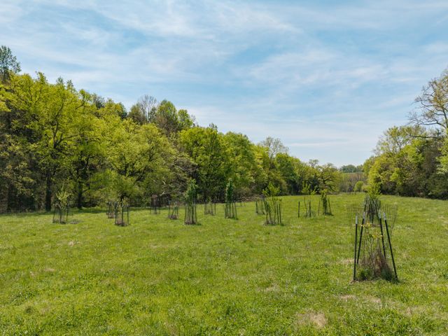 305 Ingram Rd, Pulaski, TN 38478