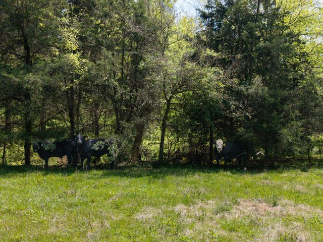 305 Ingram Rd, Pulaski, TN 38478
