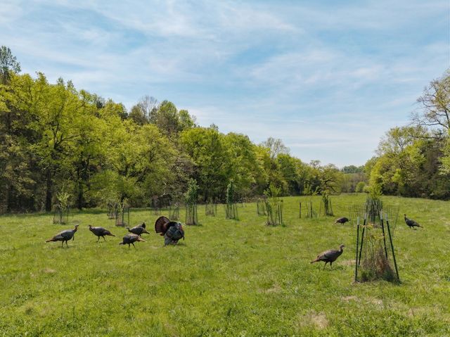 305 Ingram Rd, Pulaski, TN 38478