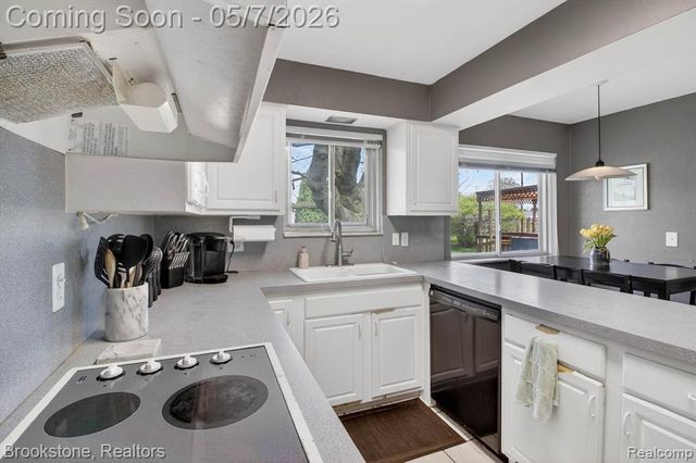 2732 Lacota Road, Waterford, MI 48328