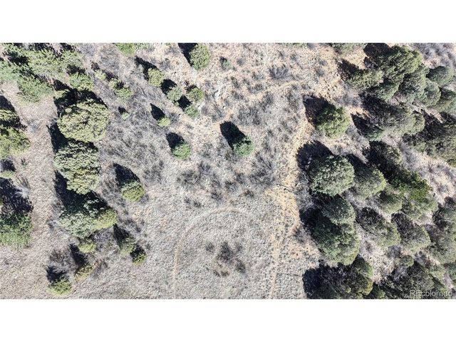 2050 Coyote Spur, Golden, CO 80403
