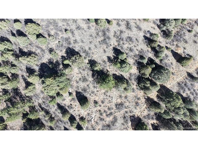 2050 Coyote Spur, Golden, CO 80403