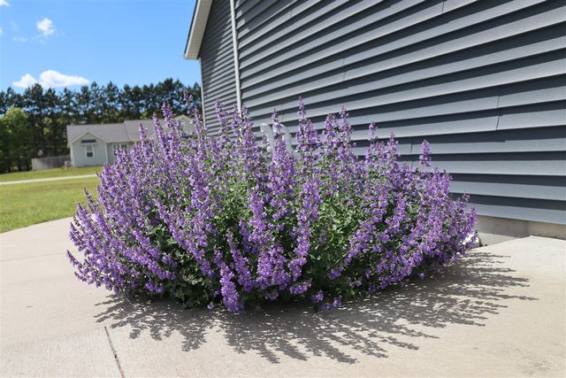 3290 Signal Point Drive, Allegan, MI 49010