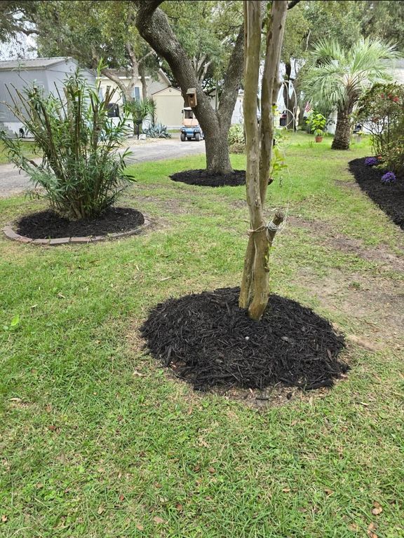 322 Yucca Circle, Garden City Beach, SC 29576 — photo 3