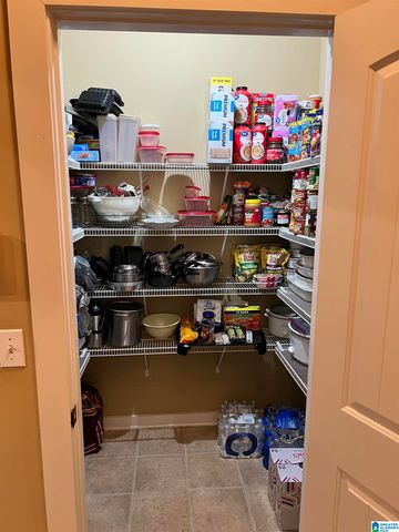 9235 RADFORD PLACE, Warrior, AL 35180