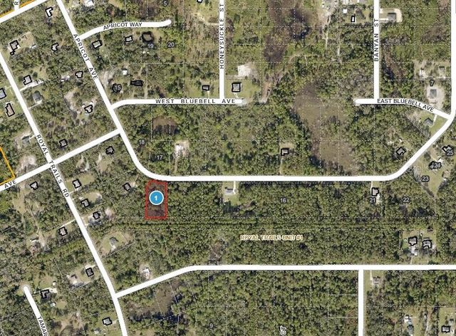 APRICOT AVENUE, Eustis, FL 32736