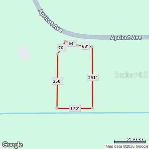 APRICOT AVENUE, Eustis, FL 32736