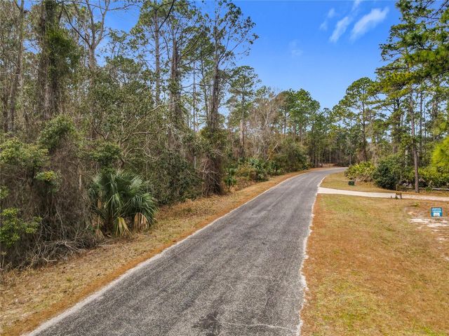 APRICOT AVENUE, Eustis, FL 32736