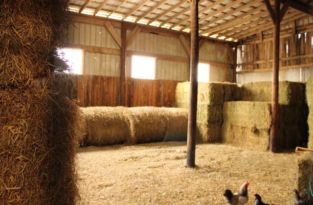 1235 Jackstown Road, Paris, KY 40361