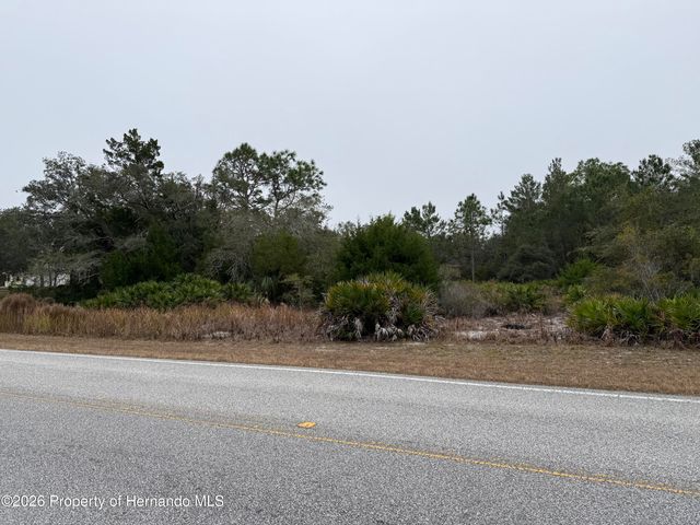 10312 Fulton Avenue, Weeki Wachee, FL 34613