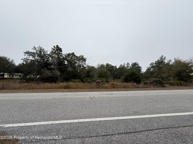 10312 Fulton Avenue, Weeki Wachee, FL 34613