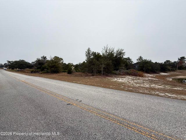 10312 Fulton Avenue, Weeki Wachee, FL 34613