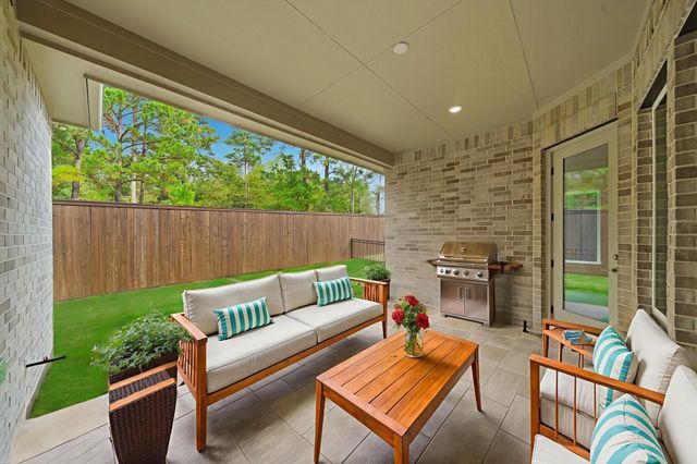 10026 Larkin Cove, Willis, TX 77318