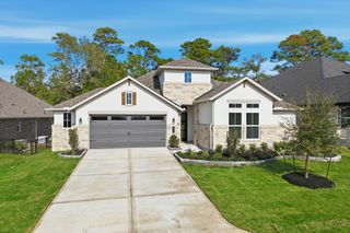 10026 Larkin Cove, Willis, TX 77318