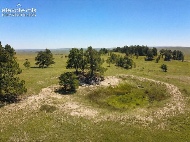 17265 Warriors Path Drive, Peyton, CO 80831