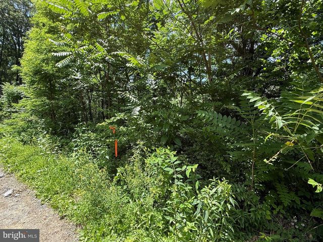 81 & 82 CABIN RD, Augusta, WV 26704