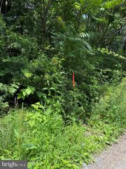 81 & 82 CABIN RD, Augusta, WV 26704