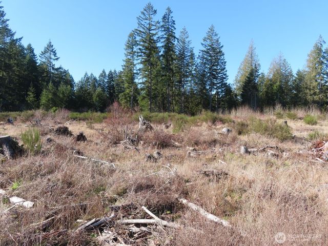 2906 357th Street E, Eatonville, WA 98328