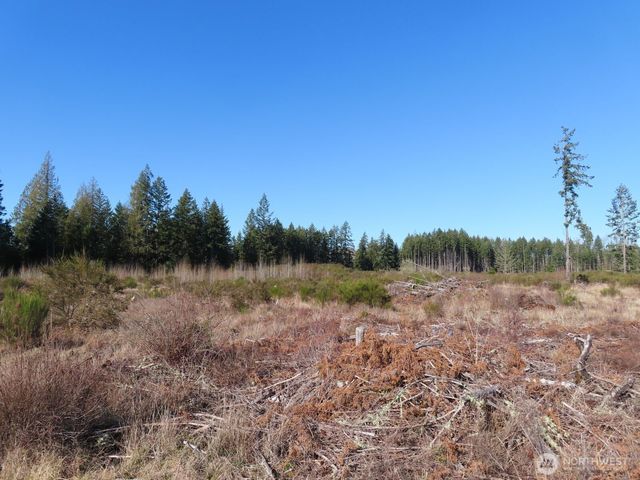 2906 357th Street E, Eatonville, WA 98328