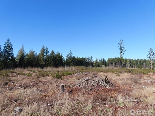 2906 357th Street E, Eatonville, WA 98328