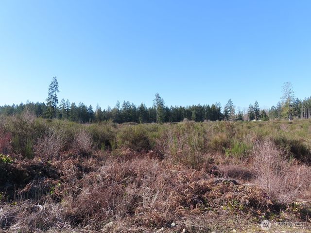 2906 357th Street E, Eatonville, WA 98328