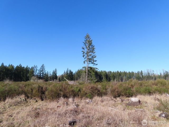 2906 357th Street E, Eatonville, WA 98328