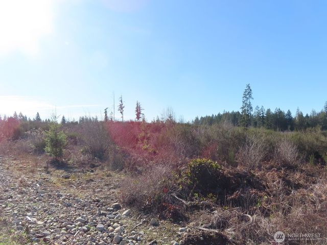 2906 357th Street E, Eatonville, WA 98328